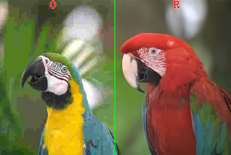 _images/parrots_restoration.png