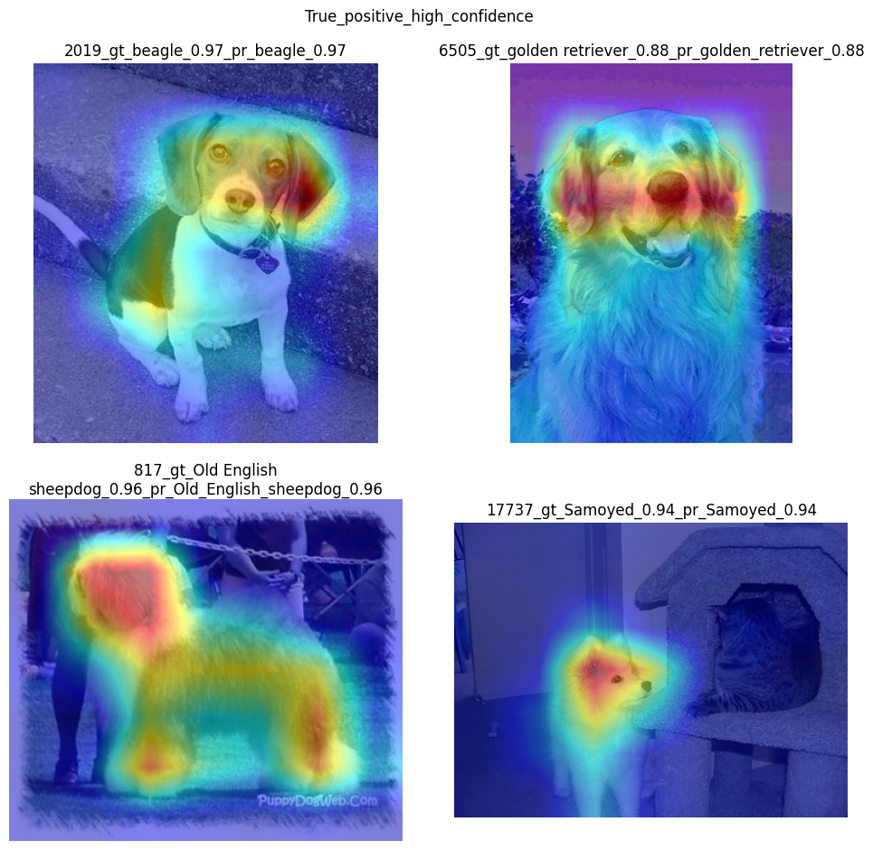 ../_images/explainable-ai-3-map-interpretation-with-output_50_0.png