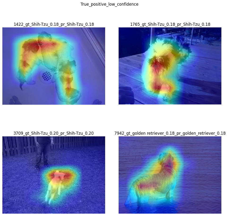 ../_images/explainable-ai-3-map-interpretation-with-output_53_0.png