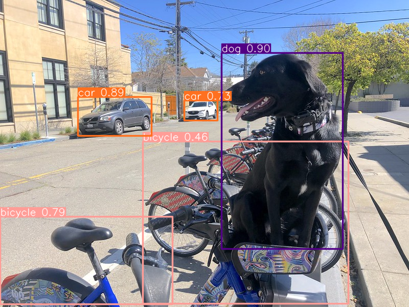 ../_images/yolov8-object-detection-with-output_16_1.png