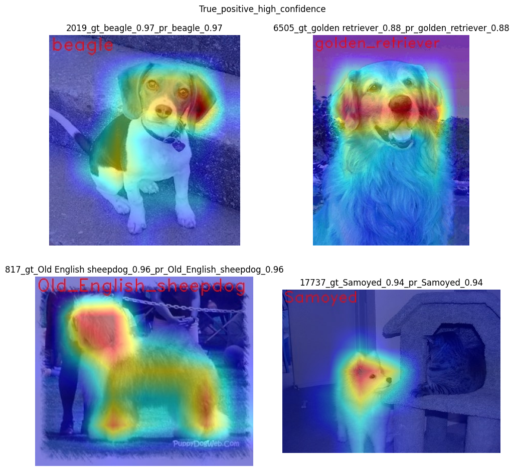 ../_images/explainable-ai-3-map-interpretation-with-output_50_0.png