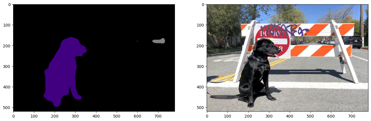 ../_images/pytorch-onnx-to-openvino-with-output_29_0.png