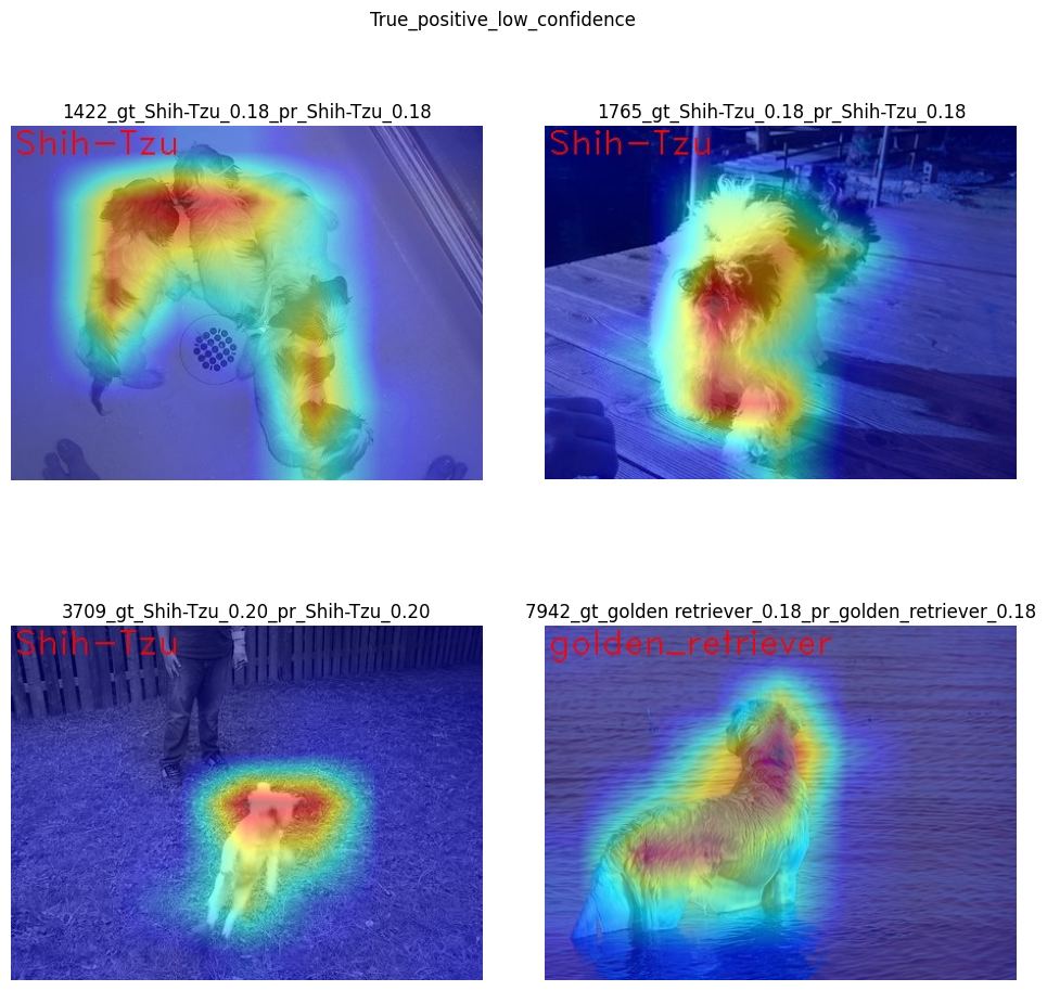 ../_images/explainable-ai-3-map-interpretation-with-output_53_0.png