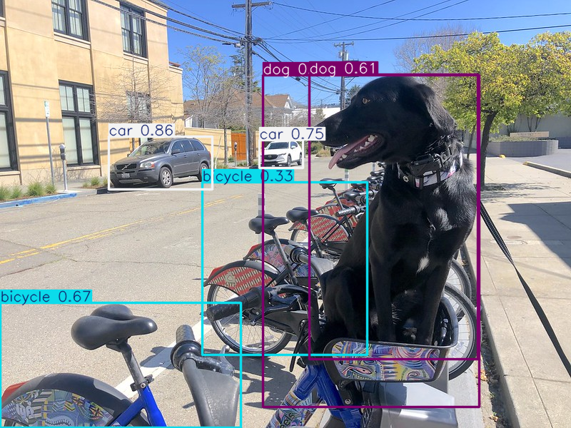 ../_images/yolov11-object-detection-with-output_10_1.png